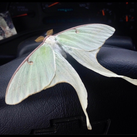 Best Friend True Love - Picture 9 of 13